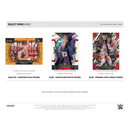 2023 Panini Select WWE Hobby Box